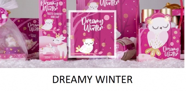 DREAMY WINTER
