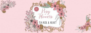 POSY OF FLOWERS