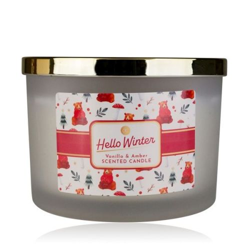 VONNÁ SVÍČKA velká 330g  11,5x8cm HELLO WINTER ve skle se zlatým víčkem ACCENTRA