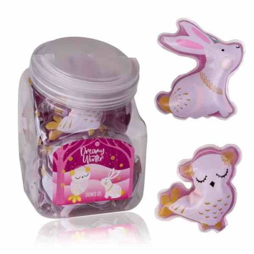 MINI GEL sprchový  50ml DREAMY WINTER (24 ks v dóze)  2 motivy ACCENTRA